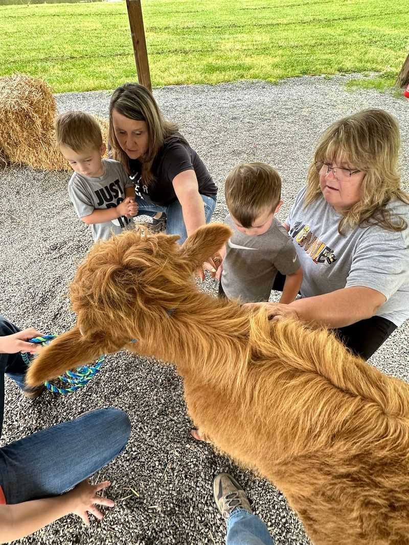 Why This Farm Is Worth The Drive Why This Farm Is Worth The Drive