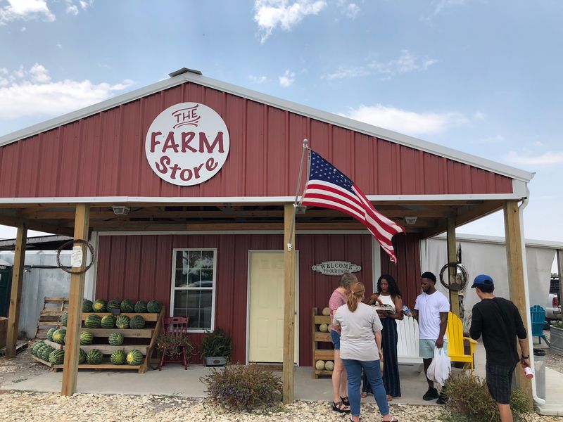 Why This Farm Stop Sticks With You Why This Farm Stop Sticks With You