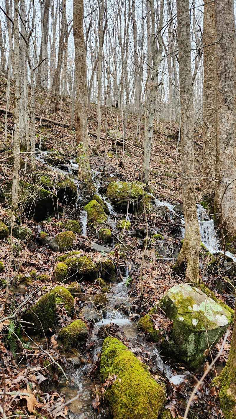 Why This Hidden Falls Earns Its Fans Why This Hidden Falls Earns Its Fans