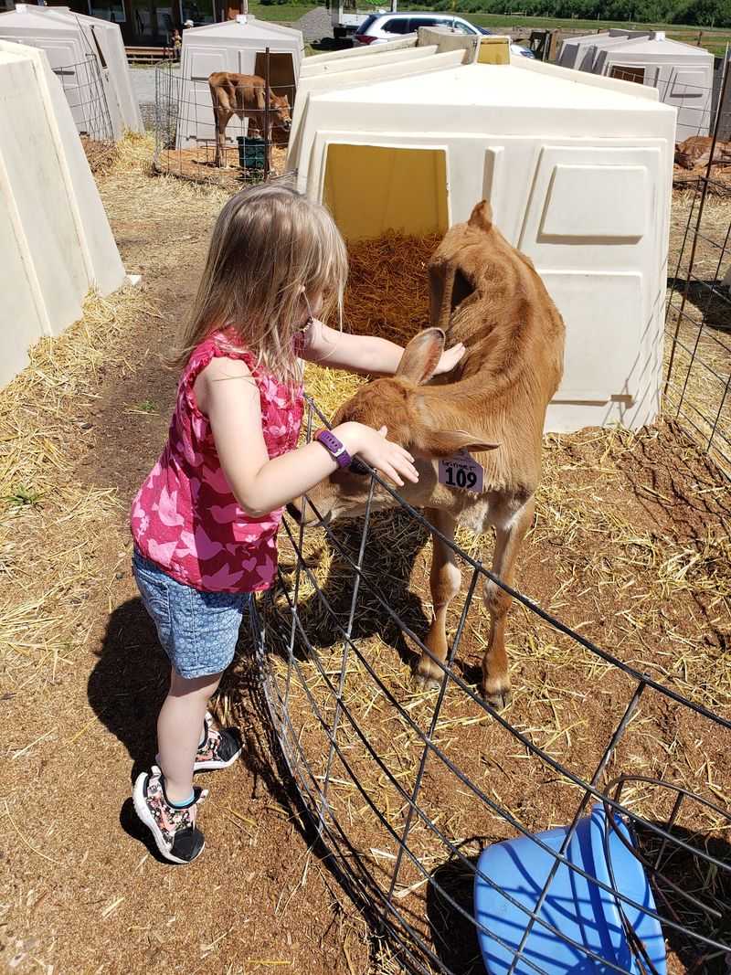 Why This Little Dairy Wins People Over