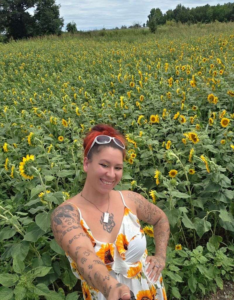 Why This Little Field Wins Hearts