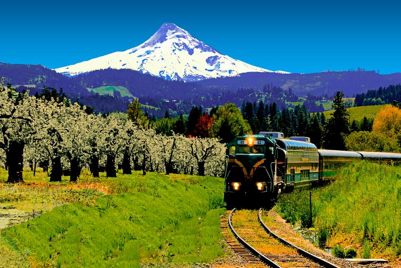 Why This Old Train Still Wins Hearts Why This Old Train Still Wins Hearts