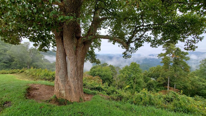 Why This Overlook Stays With You
