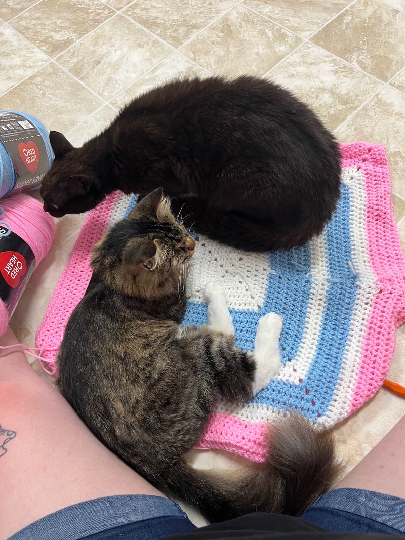 Why This Overlooked Sanctuary Is Worth the Drive Why This Overlooked Sanctuary Is Worth the Drive