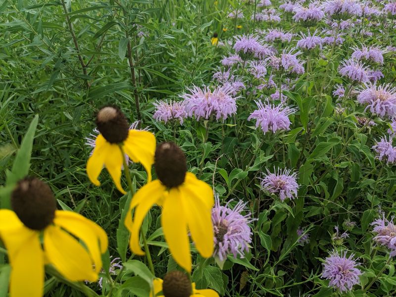 Why This Park Deserves a Spot on Your Illinois Bucket List