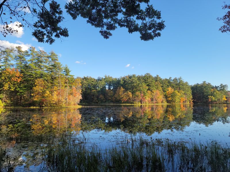 Why This Park Is One of Manchester's Most Relaxing Spots Why This Park Is One of Manchester's Most Relaxing Spots