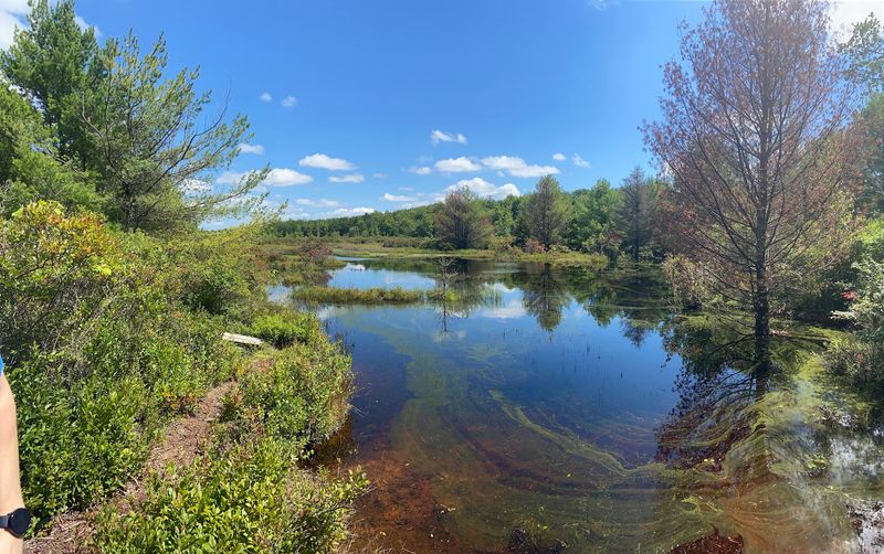 Why This Preserve Deserves a Spot on Your Pennsylvania Bucket List