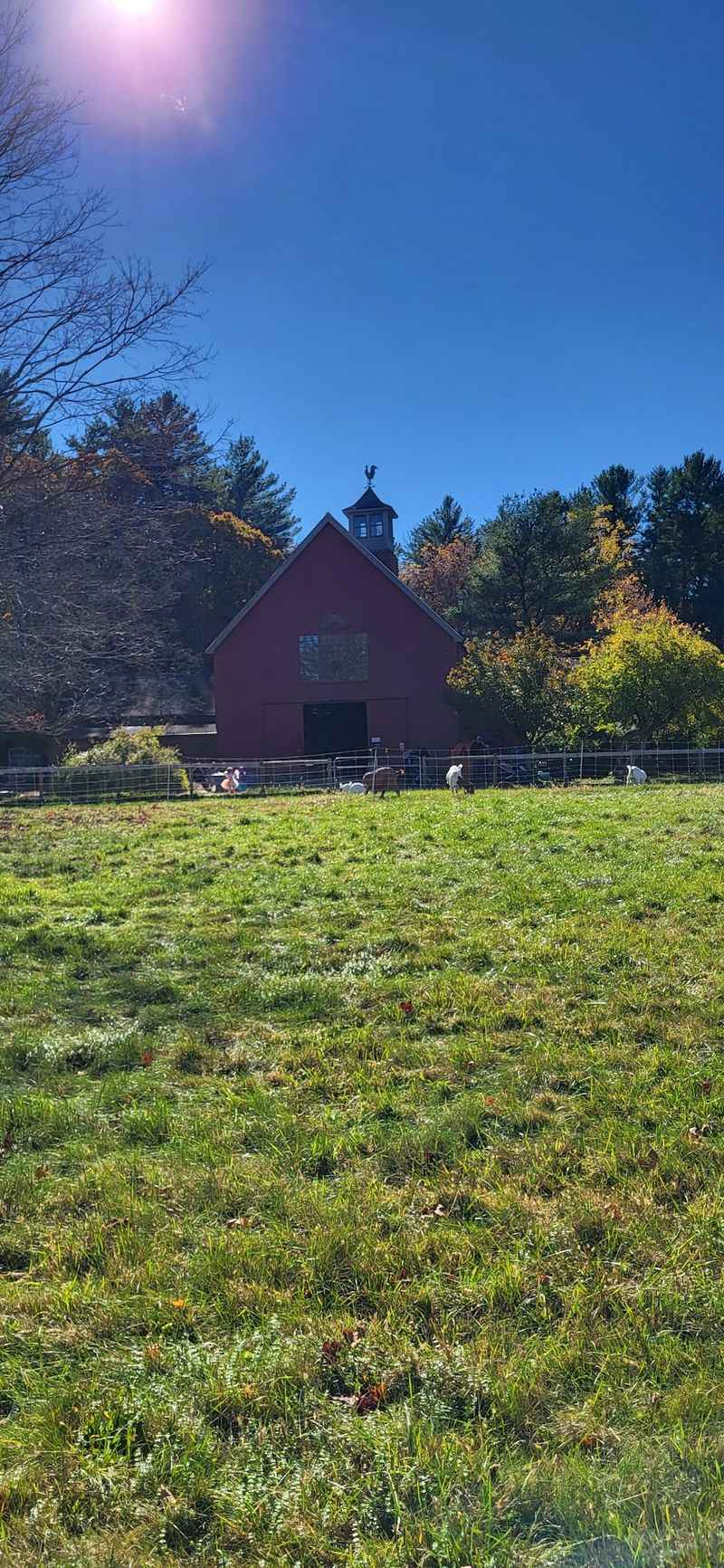 Why This Quiet Farm Earns the Trip Why This Quiet Farm Earns the Trip