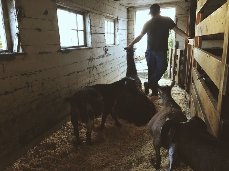 Why This Quiet Farm Stays With You Why This Quiet Farm Stays With You
