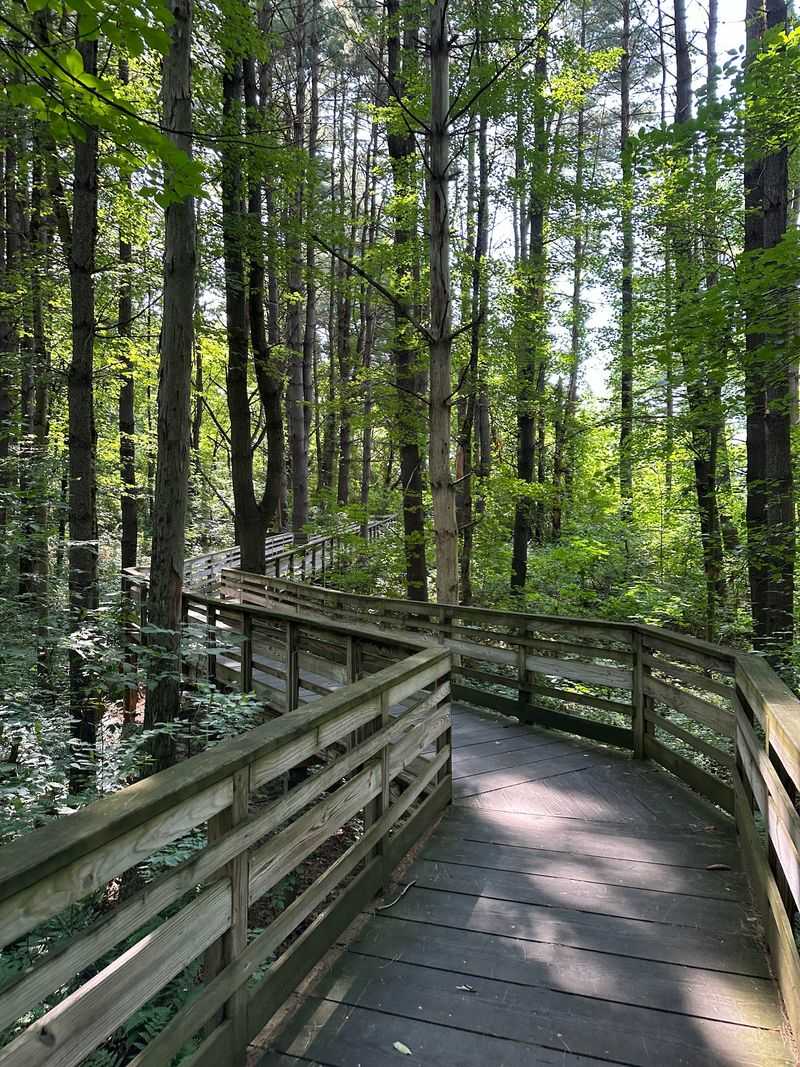 Why This Quiet Loop Is Worth the Trip Why This Quiet Loop Is Worth the Trip