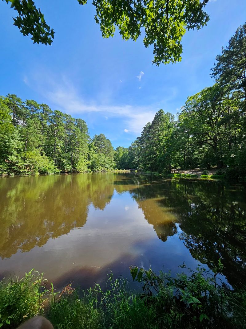 Why This Quiet Park Deserves a Spot on Your List
