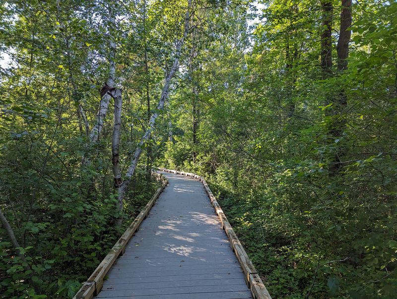 Why This Quiet Walk Earns Its Loyal Following Why This Quiet Walk Earns Its Loyal Following