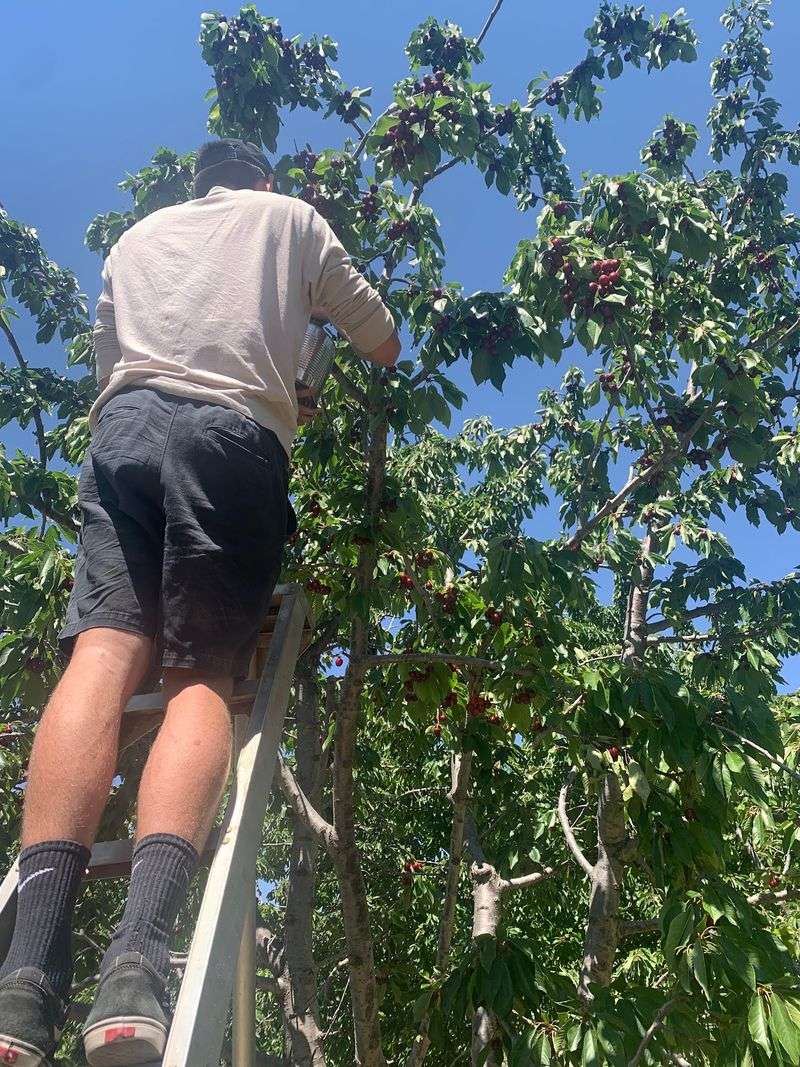 Why This Roadside Farm Wins Hearts Why This Roadside Farm Wins Hearts