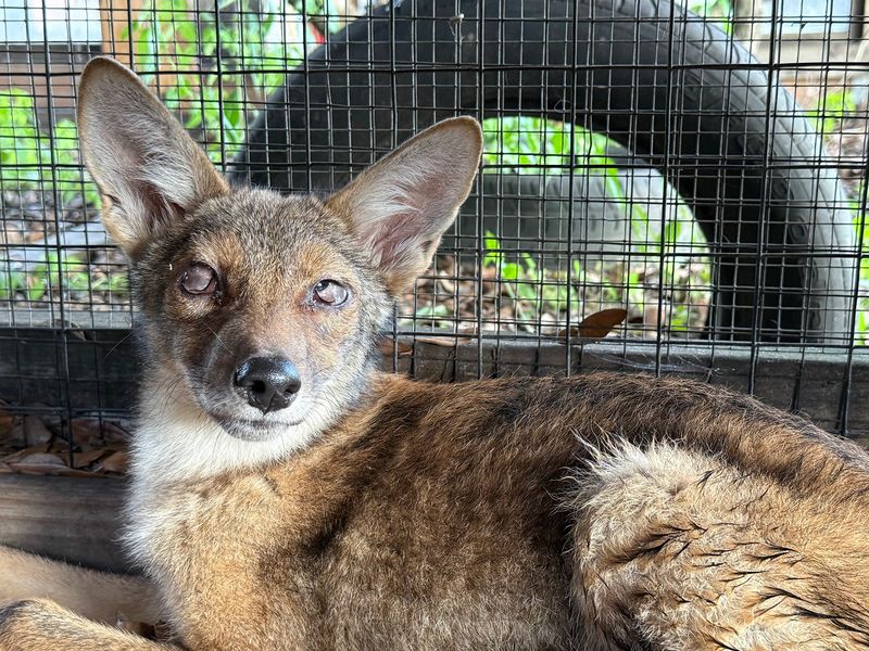 Why This Sanctuary Deserves a Spot on Your Oklahoma List Why This Sanctuary Deserves a Spot on Your Oklahoma List