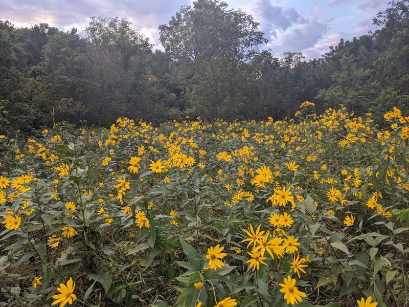 Why This Small Park Deserves a Spot on Your Minnesota List Why This Small Park Deserves a Spot on Your Minnesota List