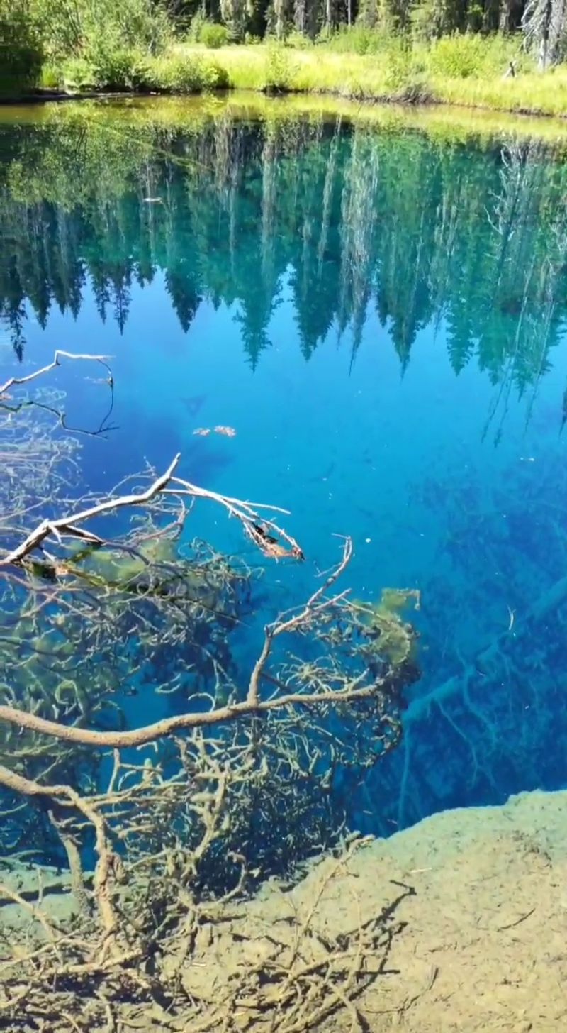 Why This Spot Deserves a Place on Your Oregon List Why This Spot Deserves a Place on Your Oregon List