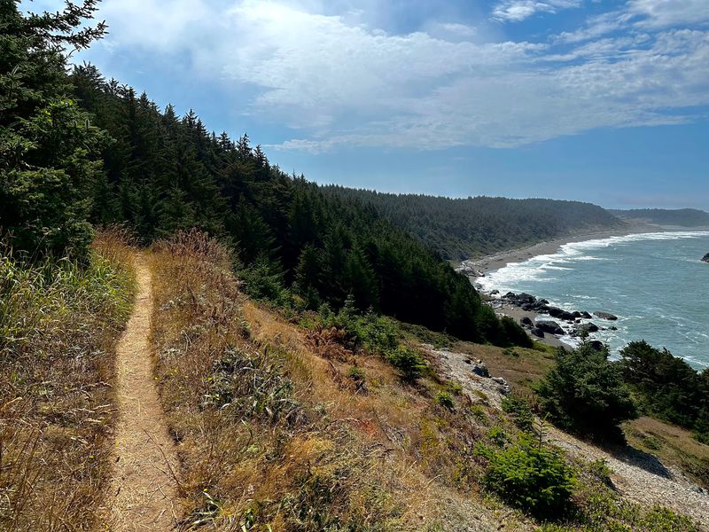 Why This Trail Deserves a Spot on Your Oregon Coast List Why This Trail Deserves a Spot on Your Oregon Coast List