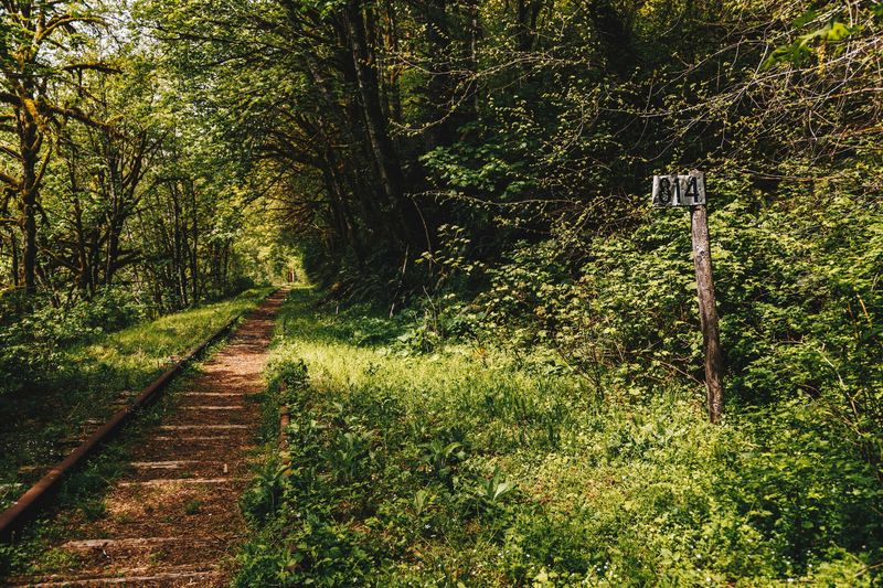 Why This Trail Matters for Oregon's Outdoor Future Why This Trail Matters for Oregon's Outdoor Future