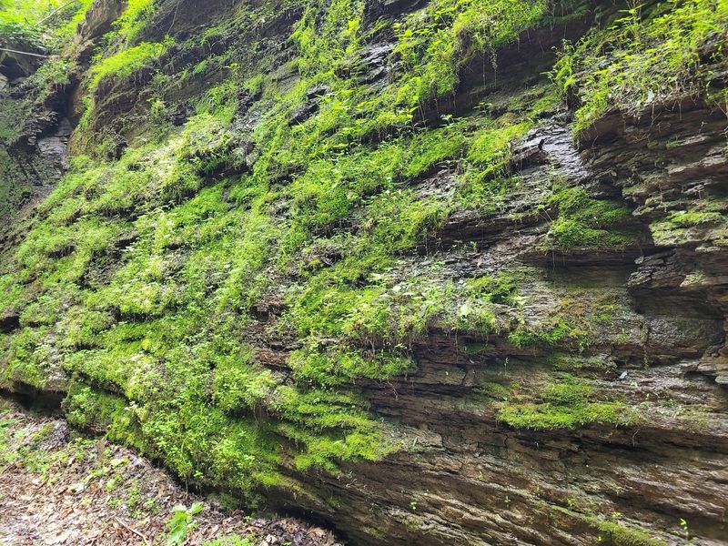 Why This Trail Stays With You Long After You Leave