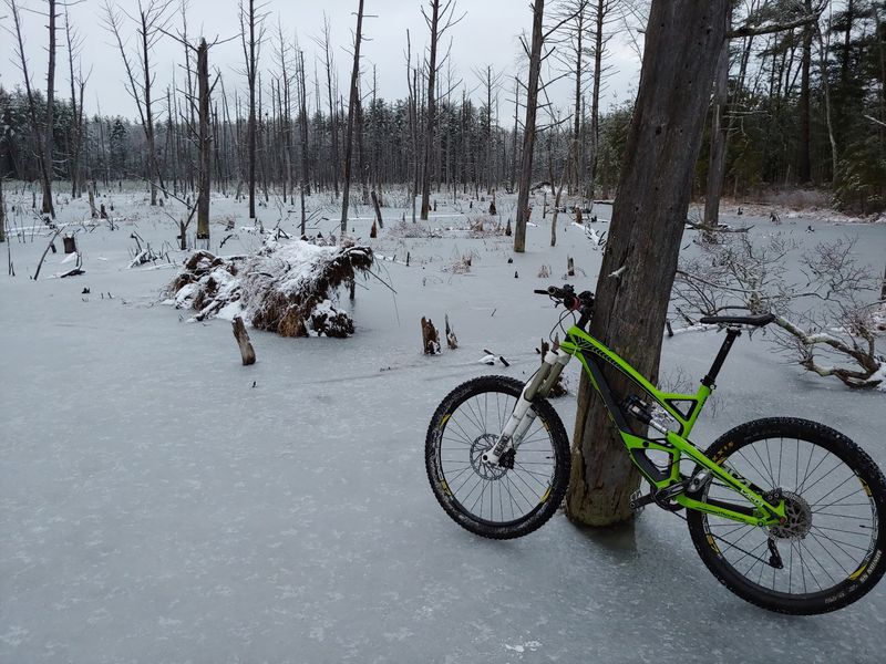 Why Winter Might Be the Best Time to Visit