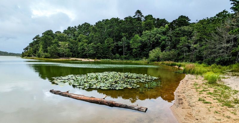Why a Day Here Feels Like a Small Escape