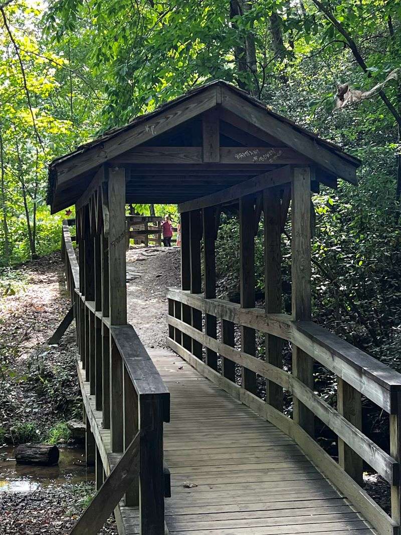 Why the Flat Terrain Makes This Trail Accessible Why the Flat Terrain Makes This Trail Accessible