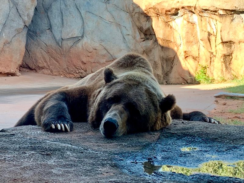 Why the Oklahoma City Zoo Holds Up After All These Years Why the Oklahoma City Zoo Holds Up After All These Years