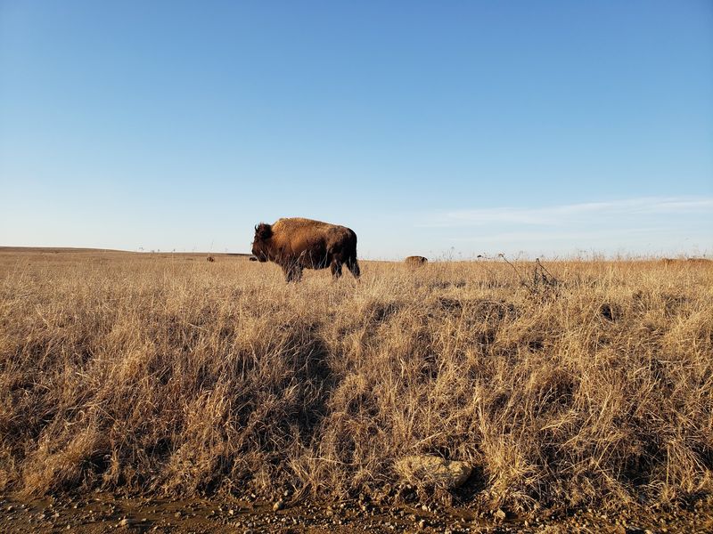 Why the Preserve Deserves a Place on Your Oklahoma List Why the Preserve Deserves a Place on Your Oklahoma List