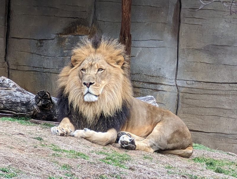 Why the Tulsa Zoo Deserves a Spot on Your Oklahoma List Why the Tulsa Zoo Deserves a Spot on Your Oklahoma List