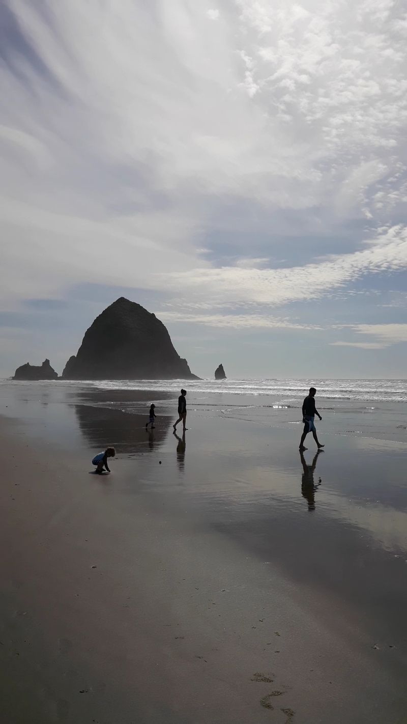 Wide Open Sand, Friendly Dogs, And Room To Roam