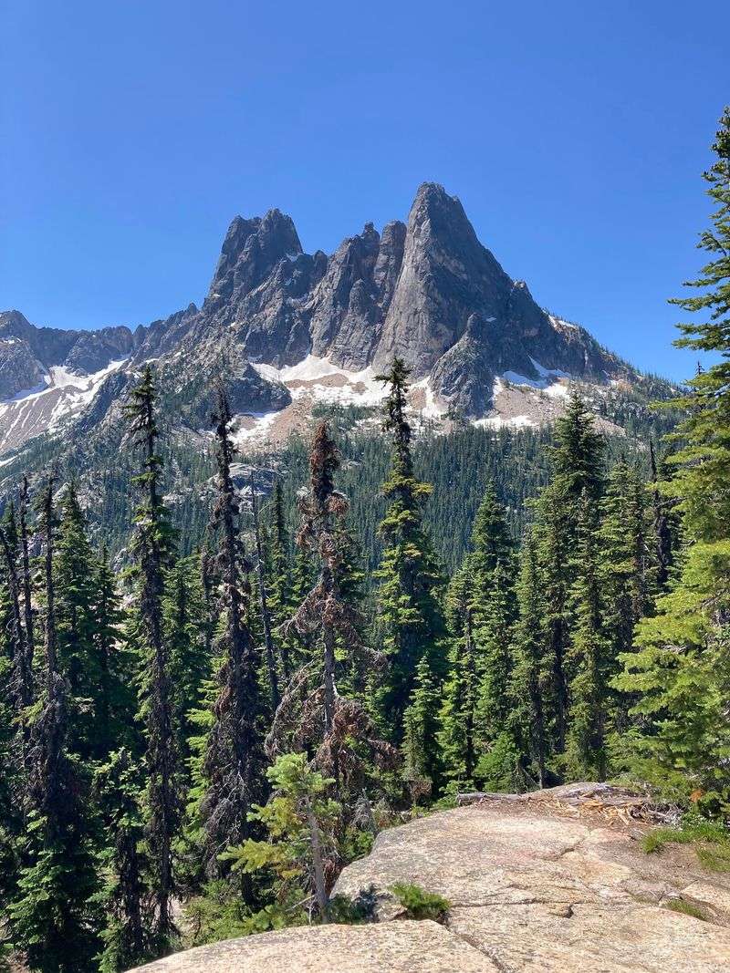 Wildflowers, Larches, and Seasonal Shifts Wildflowers, Larches, and Seasonal Shifts