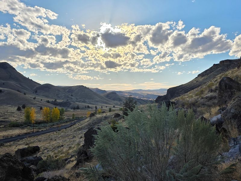 Wildlife Along the Way: More Than Just Rocks Wildlife Along the Way: More Than Just Rocks