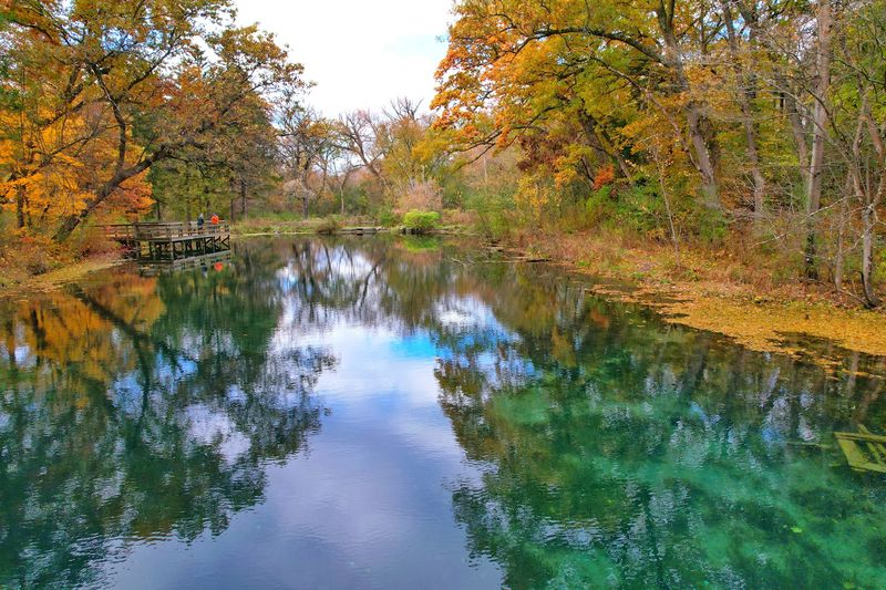 Wildlife Beyond the Trout: What Else Lives Here Wildlife Beyond the Trout: What Else Lives Here
