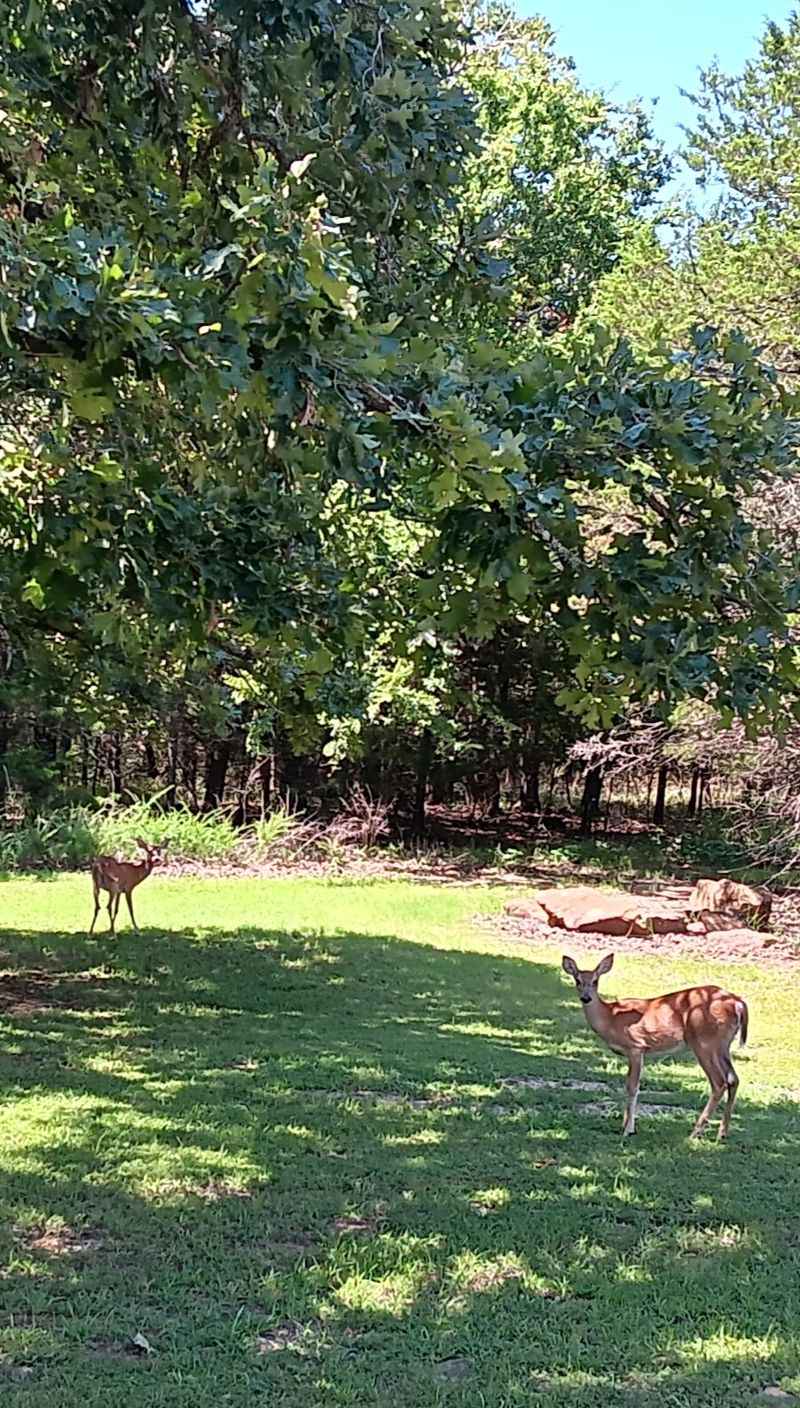 Wildlife Encounters That Come With the Territory Wildlife Encounters That Come With the Territory