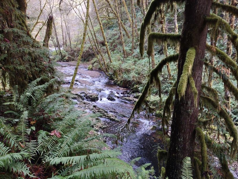 Wildlife, Flora, and the Small Details Worth Slowing Down For Wildlife, Flora, and the Small Details Worth Slowing Down For