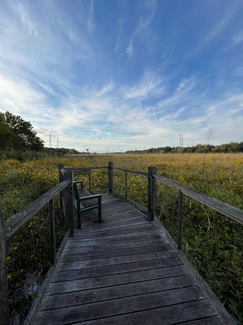 Wildlife Moments For Patient Walkers