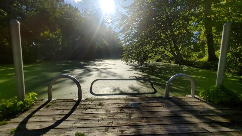 Wildlife, Scenery, and What You Notice When You Slow Down
