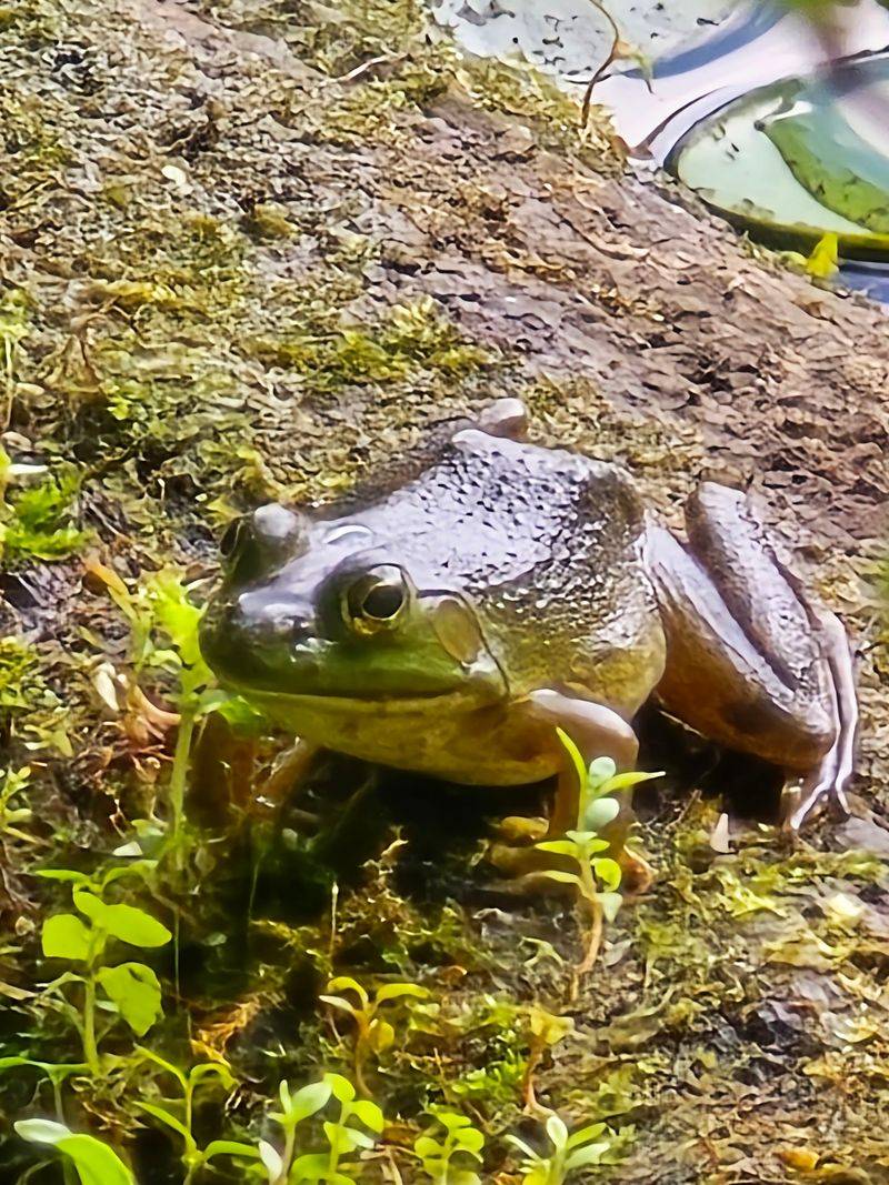 Wildlife That Shows Up When You Least Expect It
