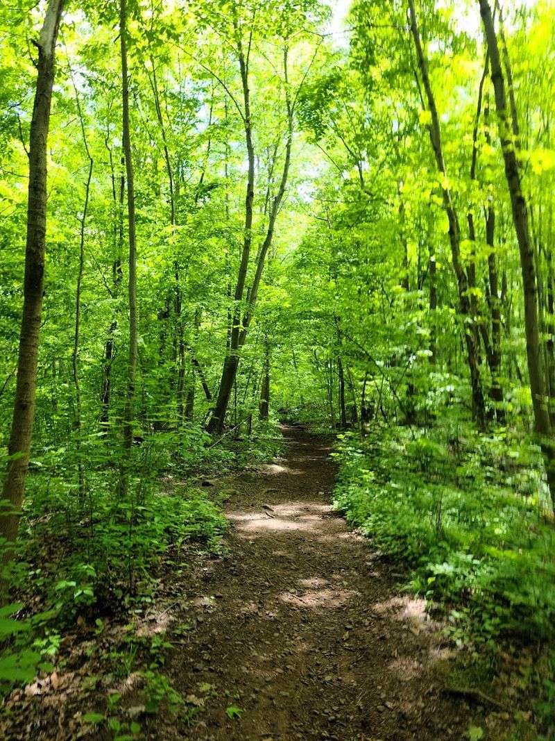 Wildlife, Ticks, and Poison Ivy: The Honest Visitor's Checklist Wildlife, Ticks, and Poison Ivy: The Honest Visitor's Checklist