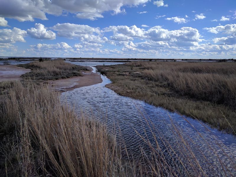 Wildlife Watching Across the Refuge Wildlife Watching Across the Refuge