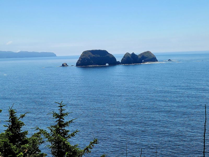 Wildlife Watching: Birds, Whales, and More Wildlife Watching: Birds, Whales, and More