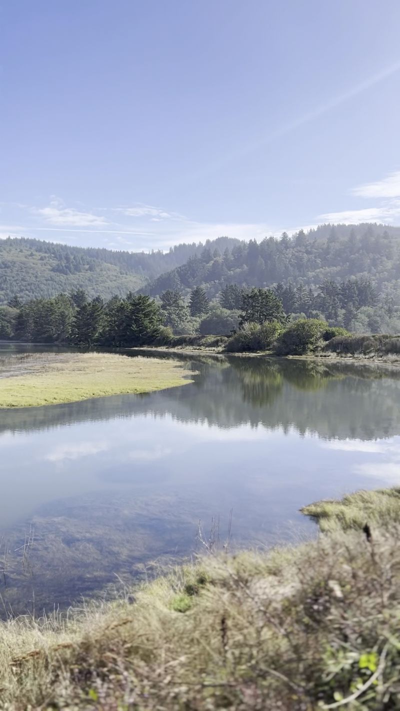 Wildlife Watching Opportunities That Will Surprise You Wildlife Watching Opportunities That Will Surprise You