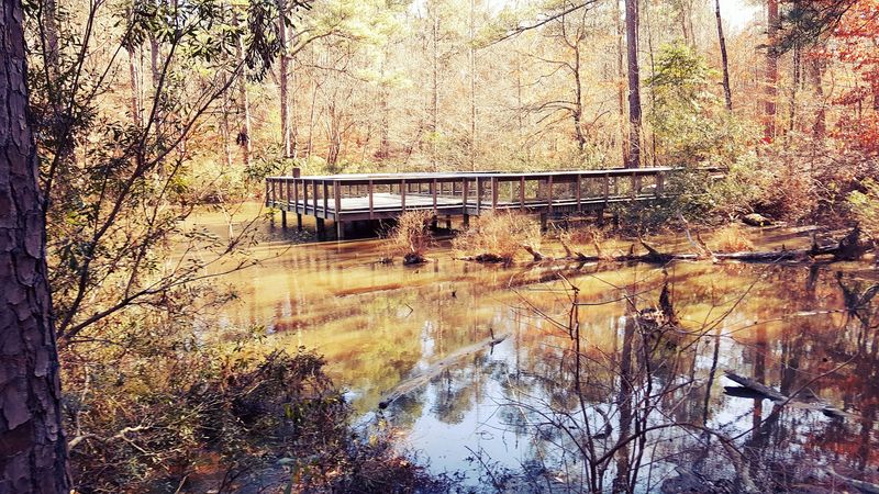 Wildlife Watching and the Art of Slowing Down