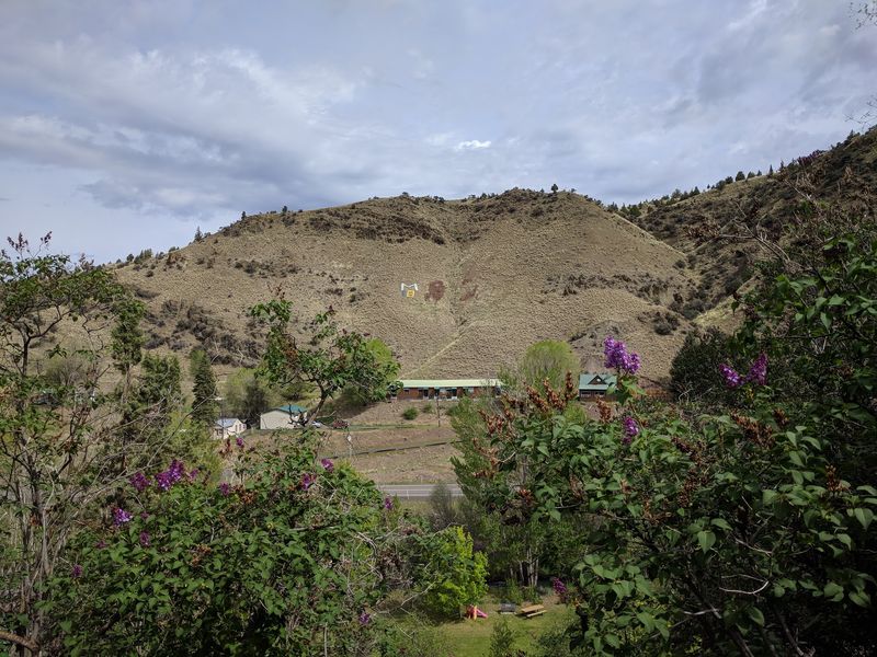Wildlife Watching in the Surrounding Canyon Country