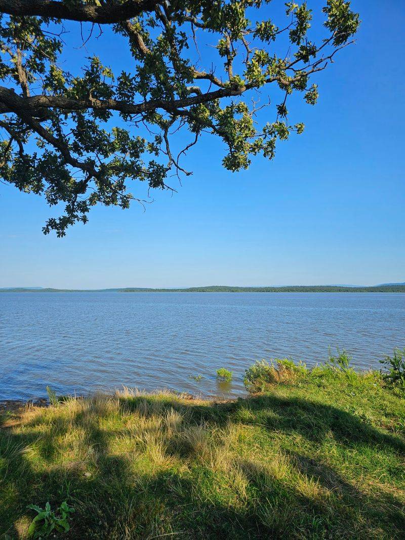 Wildlife, Water Quality, and the Natural Character of the Lake Wildlife, Water Quality, and the Natural Character of the Lake