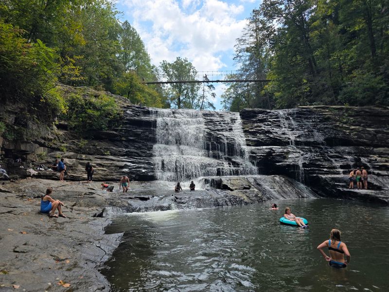 Wildlife, Water, and Snowy Surprises