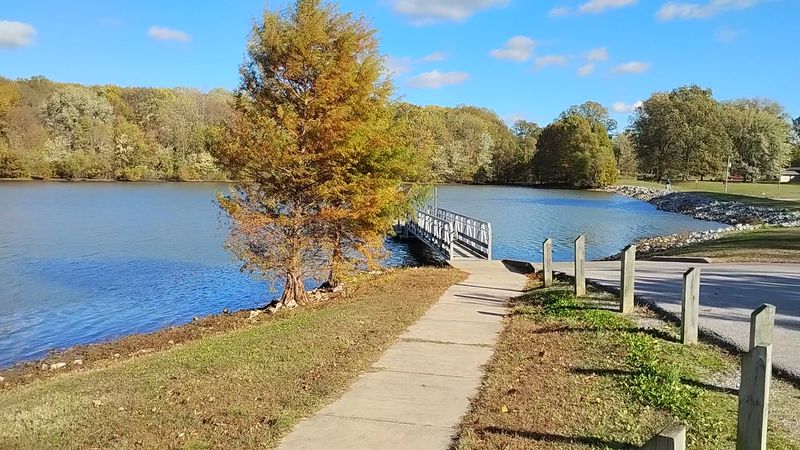 Wildlife You Might Spot Along the Trails and Water Wildlife You Might Spot Along the Trails and Water