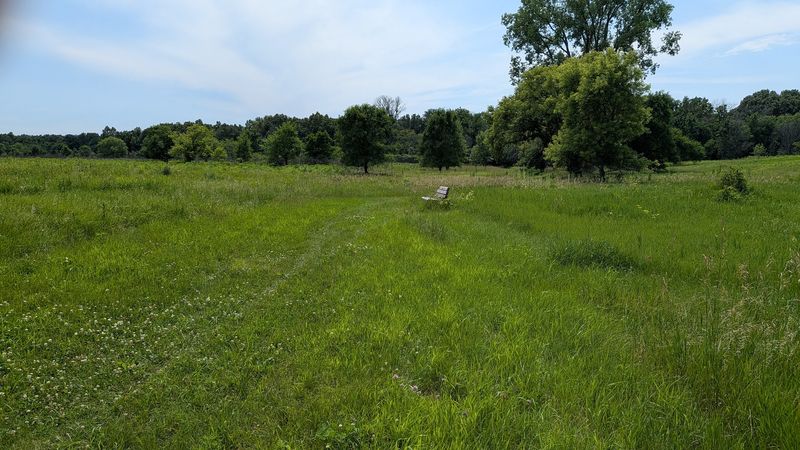 Wildlife and Bird Watching Along the Valley