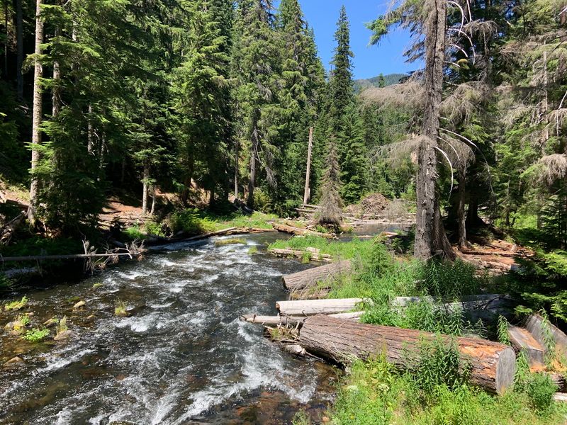 Wildlife and Ecology Along the Corridor