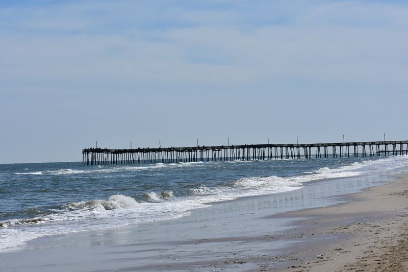 Wildlife and Natural Wonders Along the Coast Wildlife and Natural Wonders Along the Coast